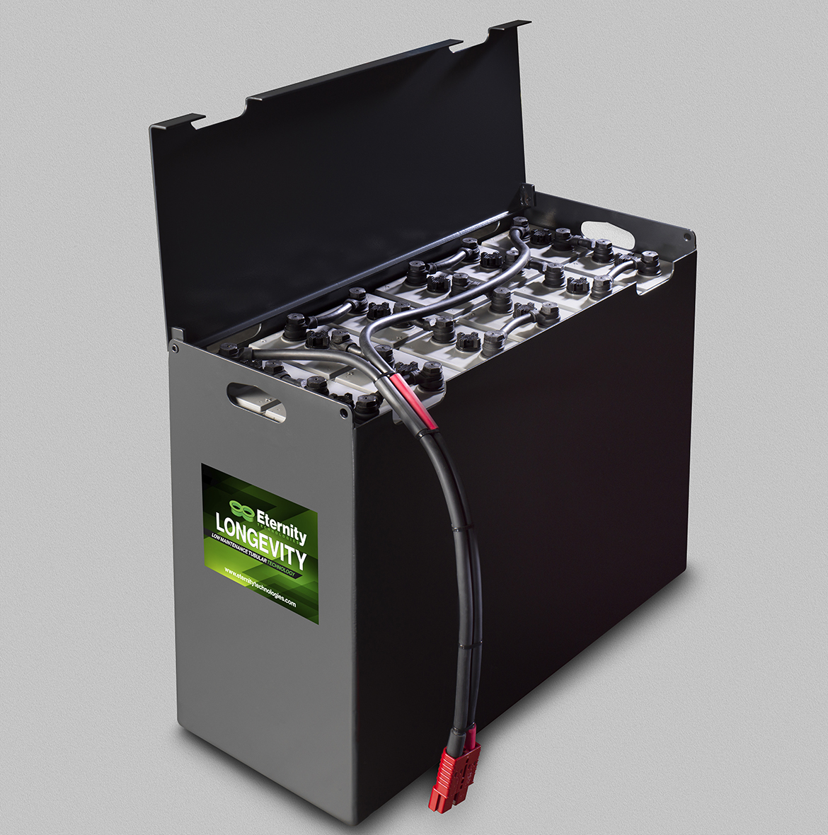 Eternity_Battery2TopUp-4011Longevity